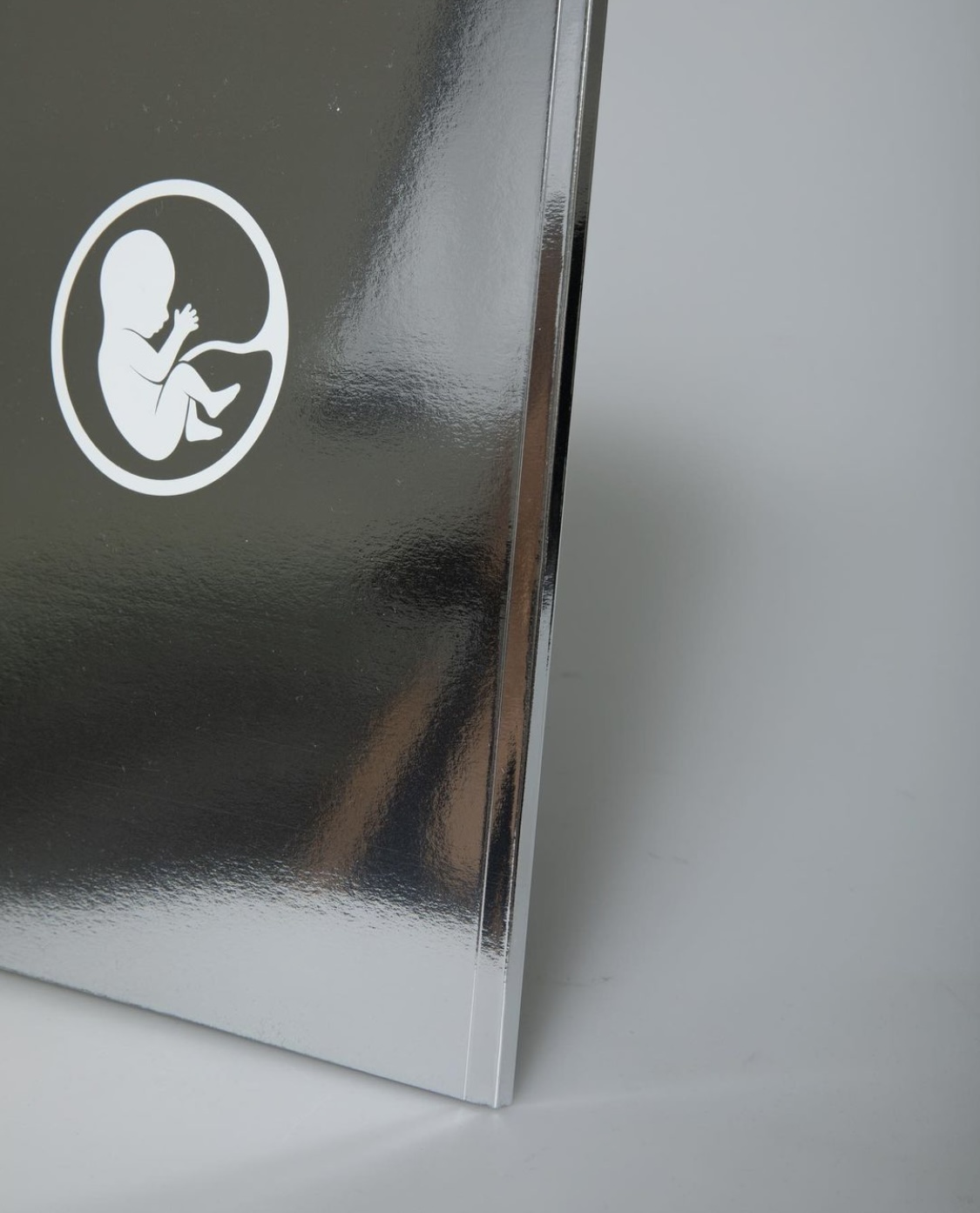 picture from foetus project